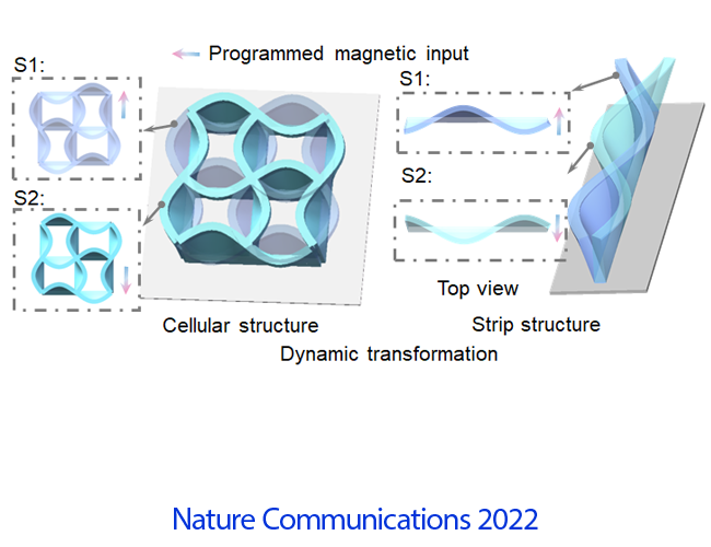 2022 Nature Communications