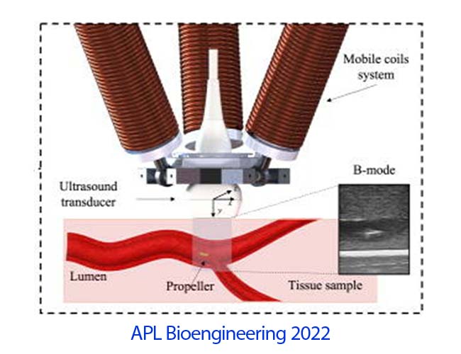 20220802 APL Bioengineering