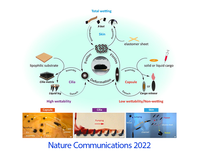 20221224 Nature Comm